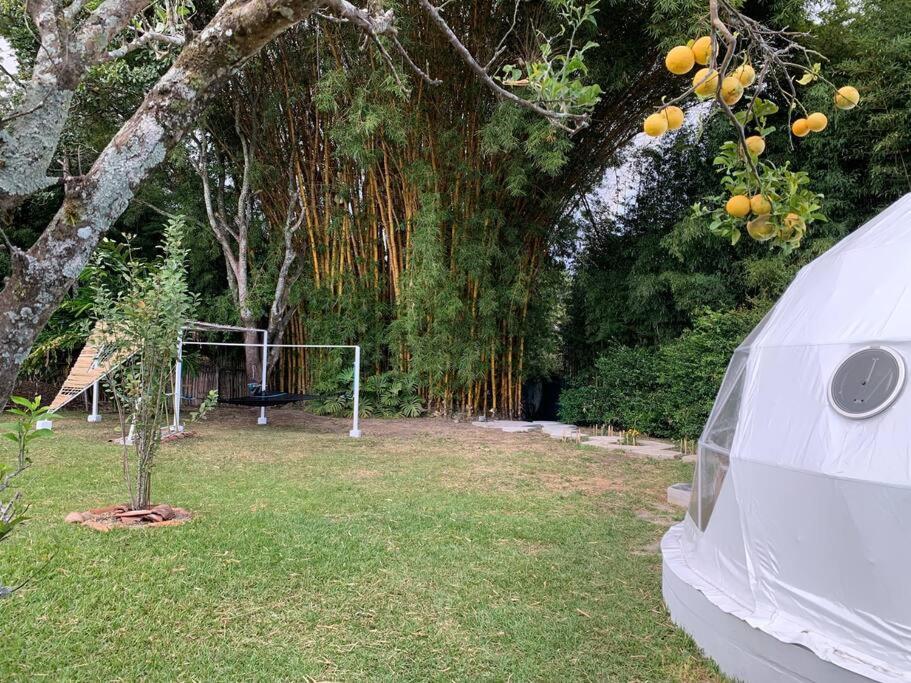 Appartement Dome In The Heart Of Boquete. Extérieur photo