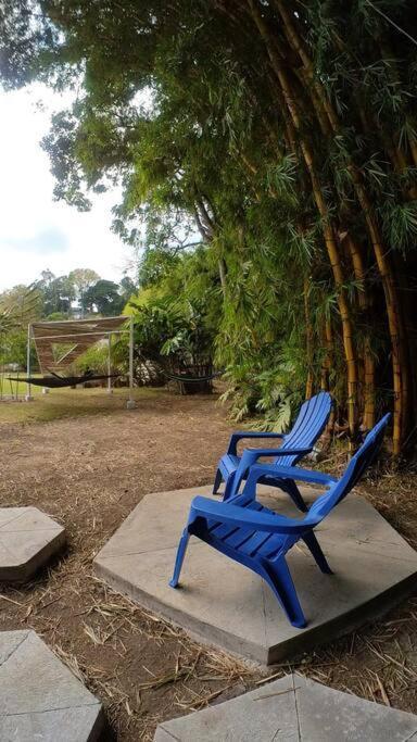 Appartement Dome In The Heart Of Boquete. Extérieur photo